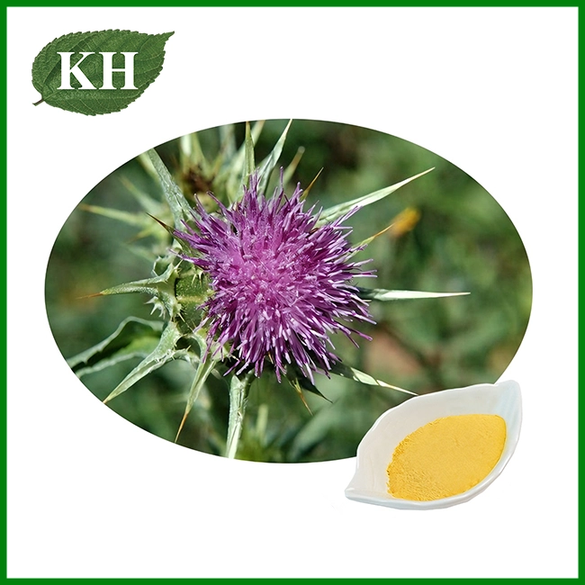 Milk Thistle Extract Powder